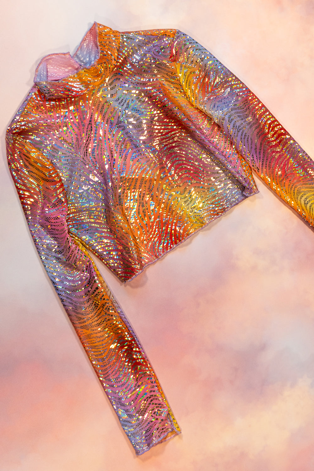 Sheer Foil Mesh Long Sleeve Crop Top