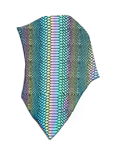 Reflective Scale Bikini Full Outfit | Loonigans