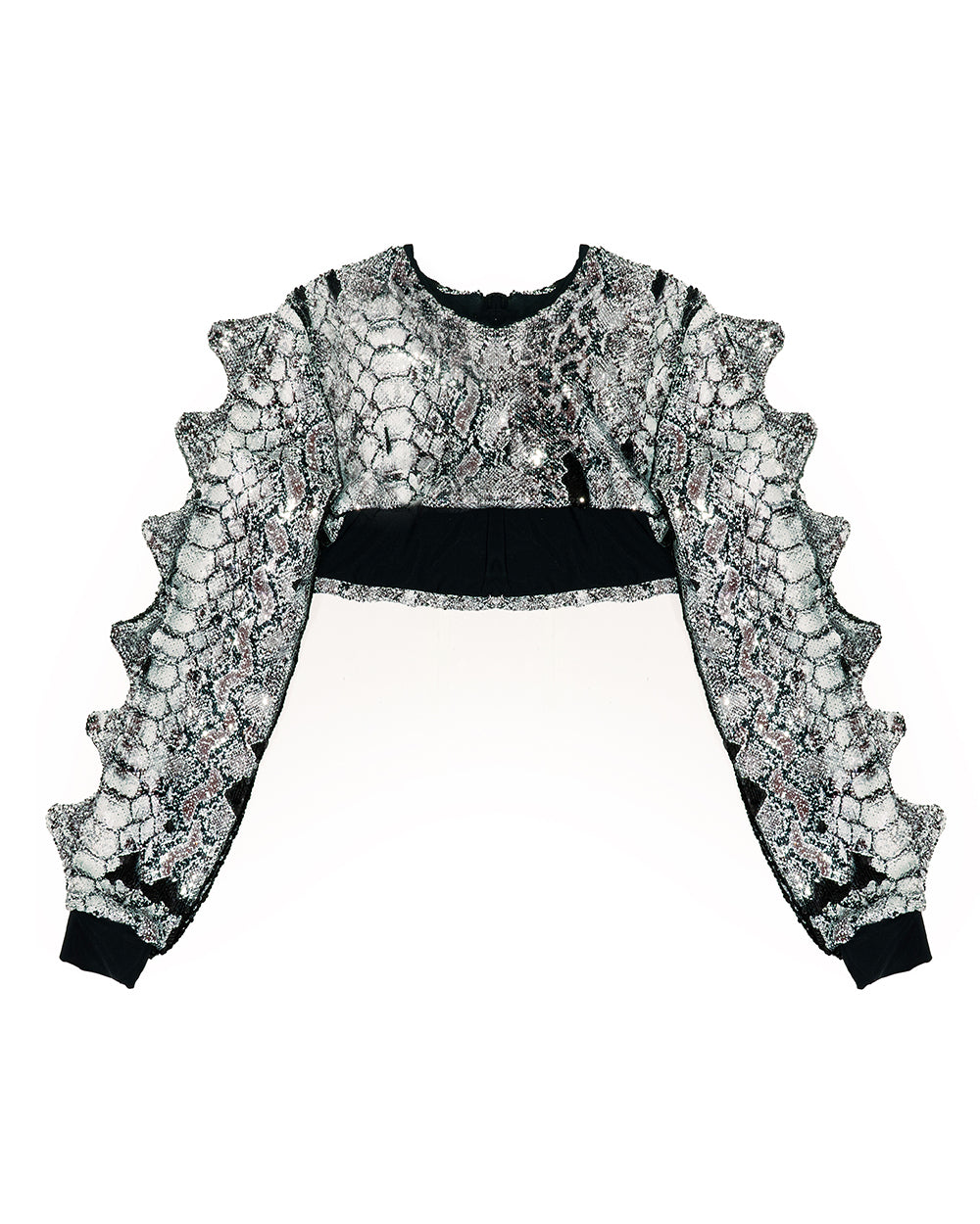Dino Sequin Chaps Set Full Outfit | Loonigans
