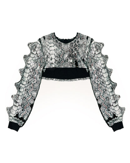 Dino Sequin Chaps Set Full Outfit | Loonigans