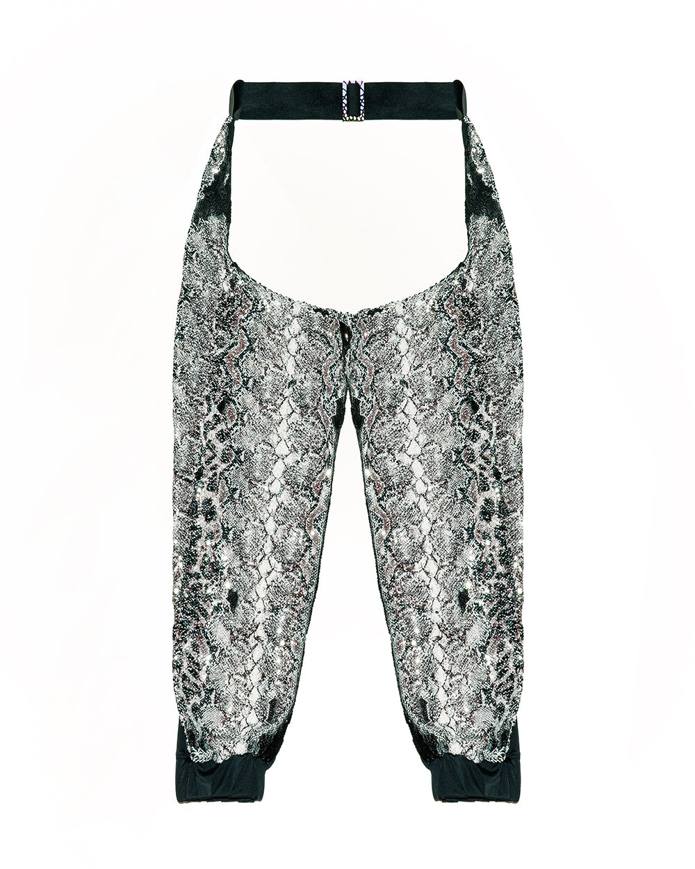 Dino Sequin Chaps Set Full Outfit | Loonigans