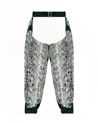 Dino Sequin Chaps Set Full Outfit | Loonigans